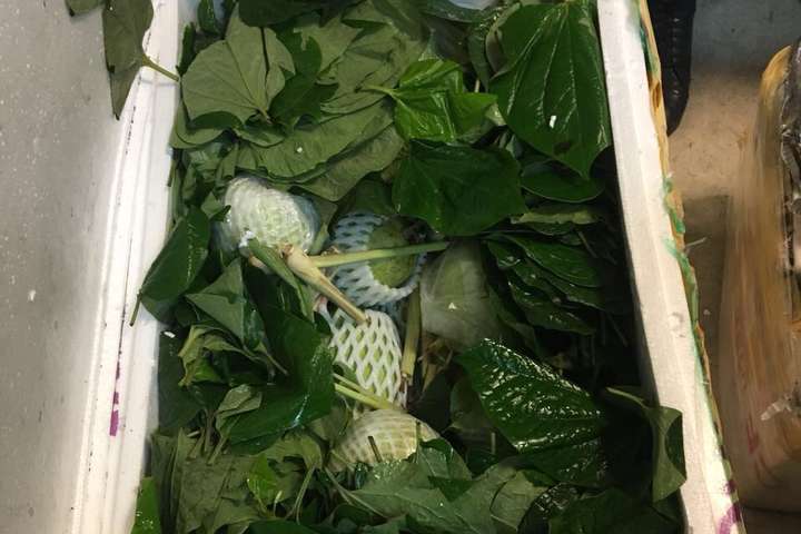 Екзотична контрабанда: у «Борисполі» в іноземця вилучено 350 кг тайських фруктів