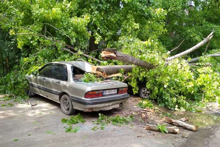 П'ять автомобілів в Одесі були розбиті після падіння дерев (фото)