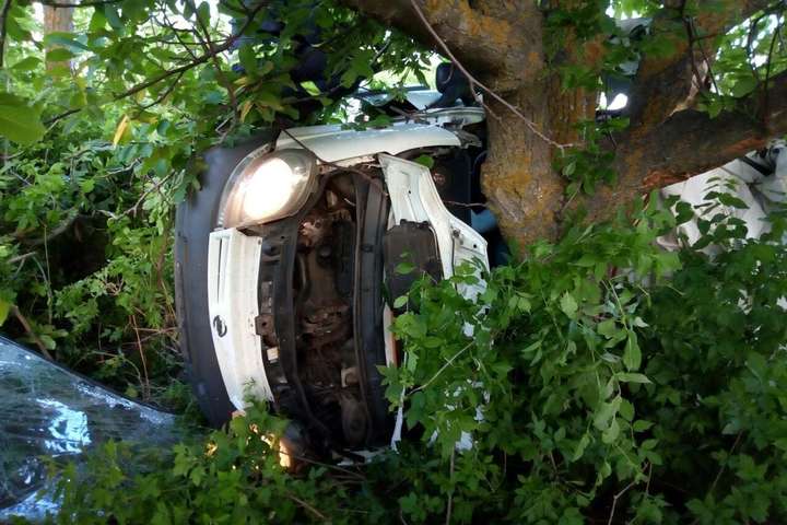Мікроавтобус на Миколаївщині зіткнувся із деревом: п’ятеро загиблих