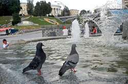 До +25°С и без осадков: прогноз погоды на понедельник