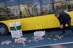 У Києві з вантажівки на дорогу випали курячі продукти