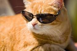 В Україну повертається тепло