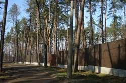 Прокуратура вимагає повернути державі майже 6 га земель Бучанської лісової дачі