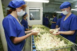 Компанія курячого олігарха Косюка збільшила прибуток в 1,6 рази