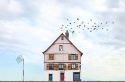 Лаконичная красота: португалец фотографирует одинокие дома