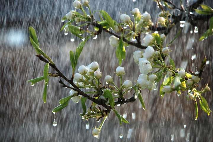 Дощитиме, але не скрізь: синоптики розповіли про погоду на 23 травня