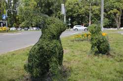 На Європейській площі з’являться нові топіари