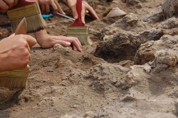 Польські науковці починають розкопки у Грушовичах