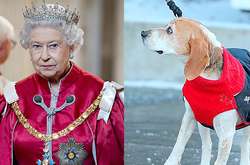 Королева Елизавета ІІ в восторге от собаки Меган Маркл