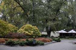 У Дніпрі двоє п’яних забили на смерть сторожа парку, що просив не рвати квіти