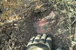 На Донеччині чоловік біля власного будинку підірвався на міні