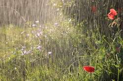 Яким буде перший день літа: прогноз погоди