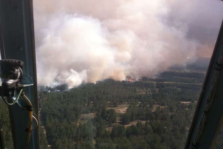 Масштабна лісова пожежа на Херсонщині: вигоріло 70 гектарів лісу