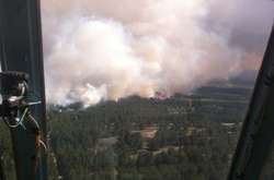 Масштабна лісова пожежа на Херсонщині: вигоріло 70 гектарів лісу