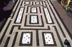 У столичному парку з’явився величезний лабіринт (фото)