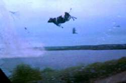 Торнадо у США змусило літати корів