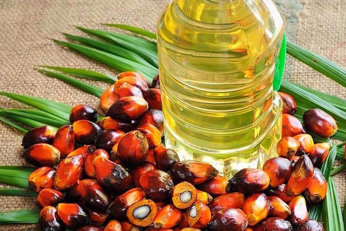 Пальмова олія чи транс-жири: що треба заборонити? (прес-конференція)