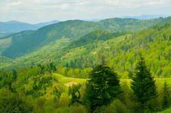 Синоптики прогнозують похолодання в Україні 