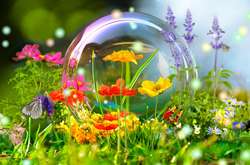 Синоптик розповіла про погоду на перший тиждень літа