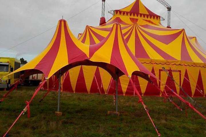 Ще в одному українському місті заборонили цирки з тваринами