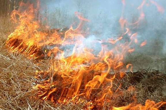Вогнеборці Одещини рятують екосистему регіону