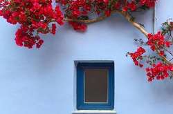 @ihaveathingforwalls