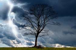 Сьогодні Україну заллють дощі: детальний прогноз погоди у регіонах