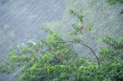 У столиці очікується гроза