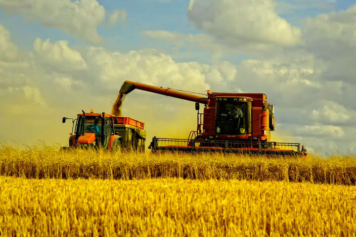 Вьетнам возобновил импорт пшеницы из Украины