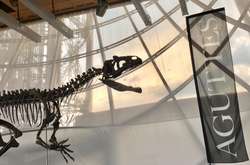 На аукционе во Франции продали скелет ранее неизвестного динозавра. Учёные возмущены