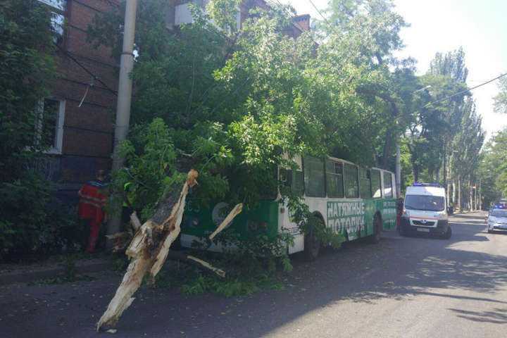 У Запоріжжі тролейбус з пасажирами придавило деревом (фото)