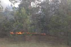 Пожежа у зоні ЧАЕС: рятувальники заспокоїли жителів Києва