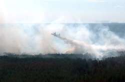 Рятувальники знайшли смолоскипи на місці пожежі у Чорнобилі 