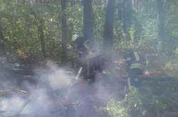 Ліквідація пожежі у лісі в селі Стоянка