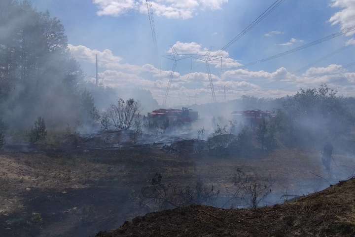 Пожежа у зоні ЧАЕС: вітер розвернувся у бік РФ і Білорусі