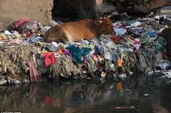 Життя в пластиковому пеклі. Моторошні фото індійських кварталів, повністю завалених сміттям