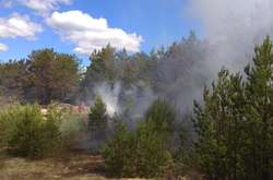 Пожежу у зоні відчуження ЧАЕС