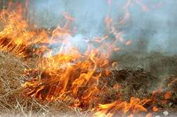 Надзвичайний рівень пожежної небезпеки у Києві триватиме ще кілька днів