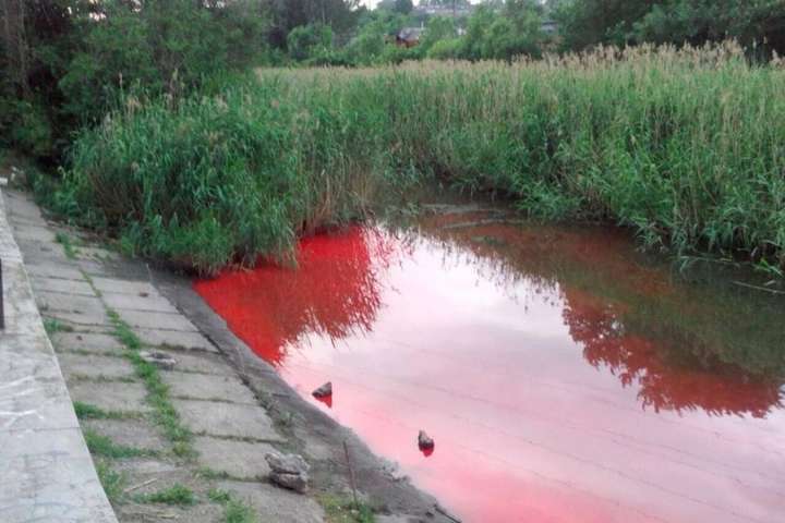 Река Мокрая Московка в Запорожье стала ярко-красной (фото)