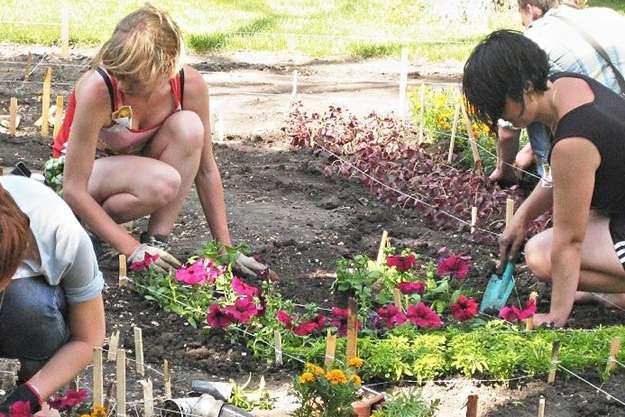 В Одесі міські клумби прикрашають 12 тис. квітів