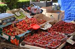 Де сьогодні у Києві відбудуться ярмарки (адреси)