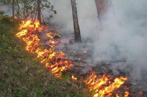 До понеділка у Києві утримається надзвичайний рівень пожежної небезпеки