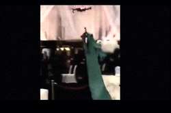 Показ Dolce & Gabbana