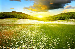 Україну накриє новий антициклон: погода на 11 червня