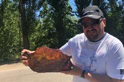 Розенблат похвалився величезним шматком бурштину, в якому є древній плазун