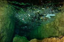 Как пластиковый мусор убивает все живое в морской воде. Жуткие фото