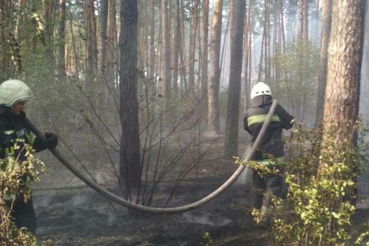 Велика пожежа у лісопарковій зоні Києва: на місці працює 10 одиниць техніки (фото)