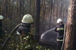Ліквідація пожежі у лісопарковій зоні