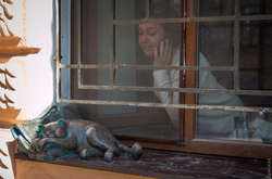 В Одесі вкрали скульптуру улюбленого кота Жванецького