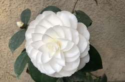 Яркие фото, которые пробудят в вас перфекциониста